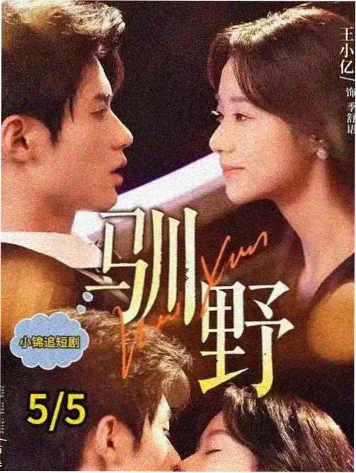 编辑私藏条目封面：旧唱片行的午后